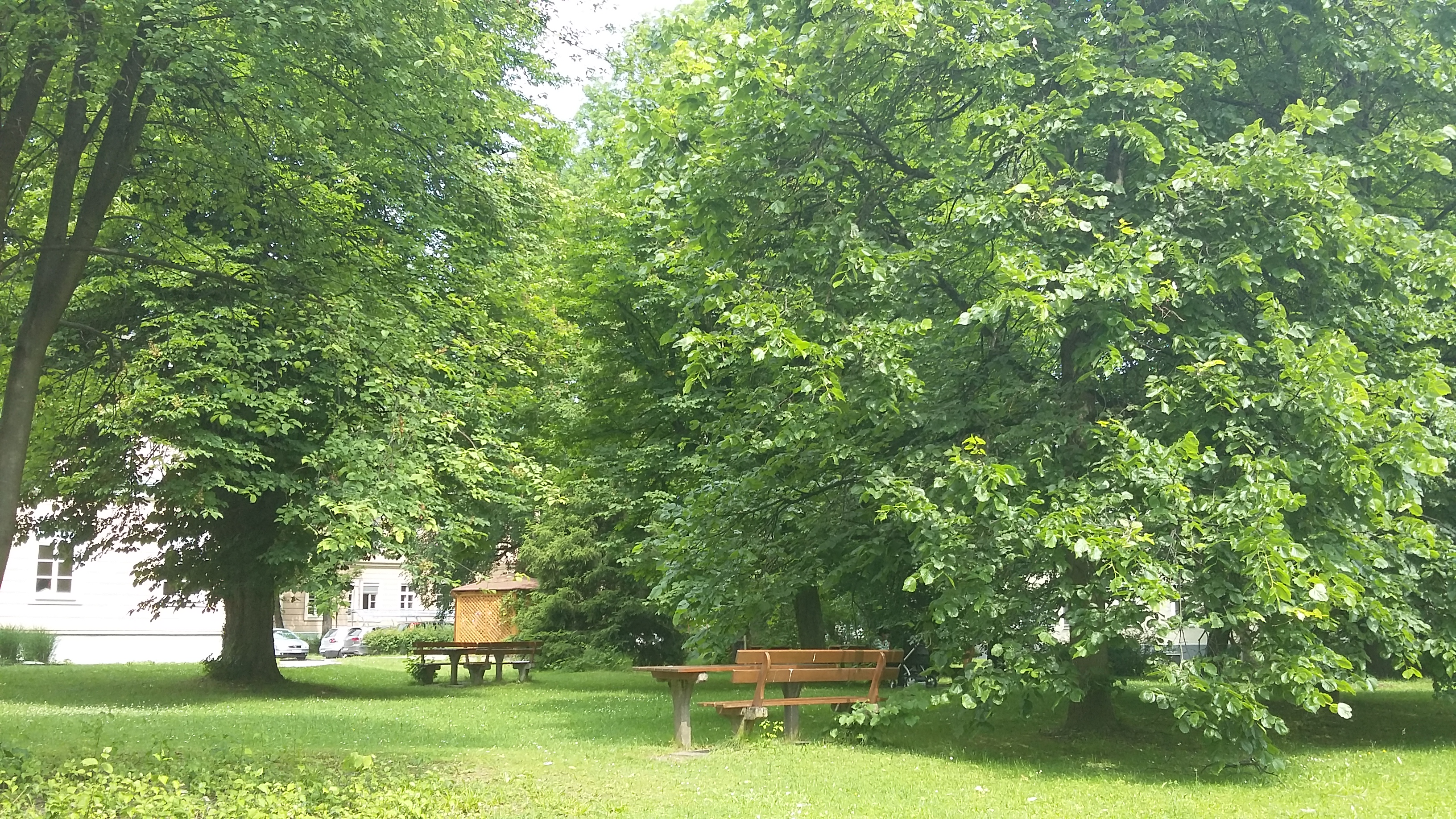 Mein Park